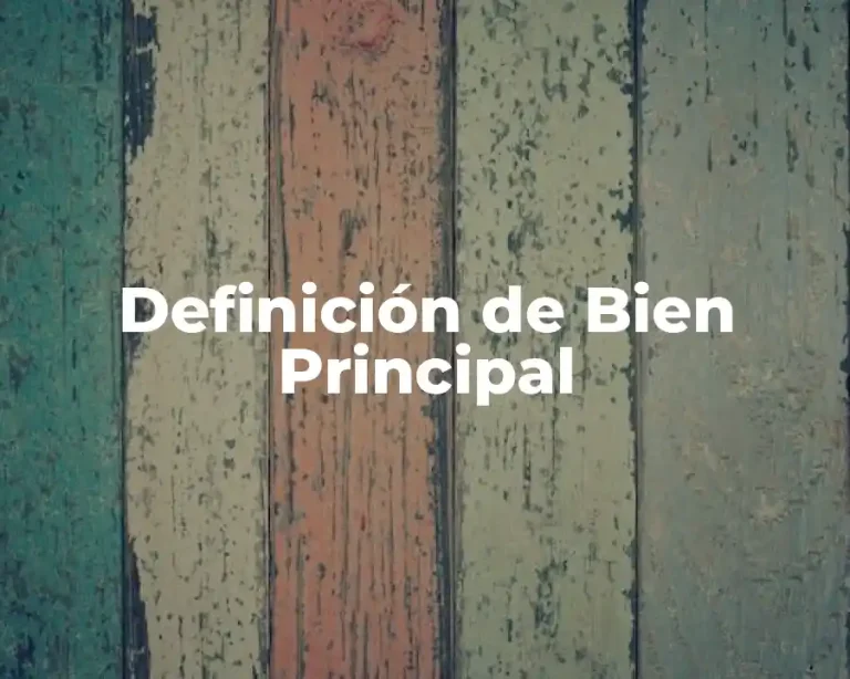 Definición de Bien Principal