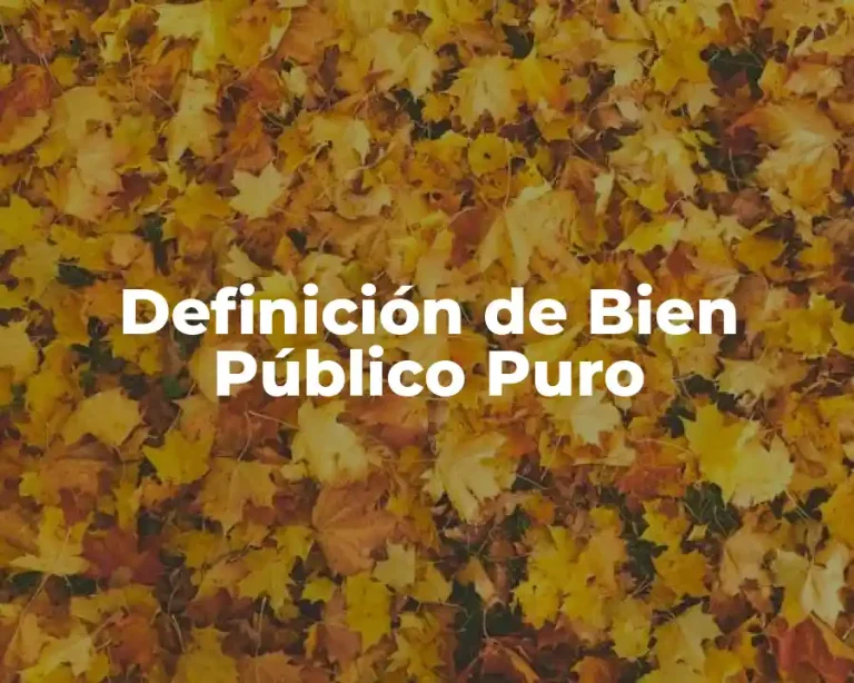 Definición de Bien Público Puro
