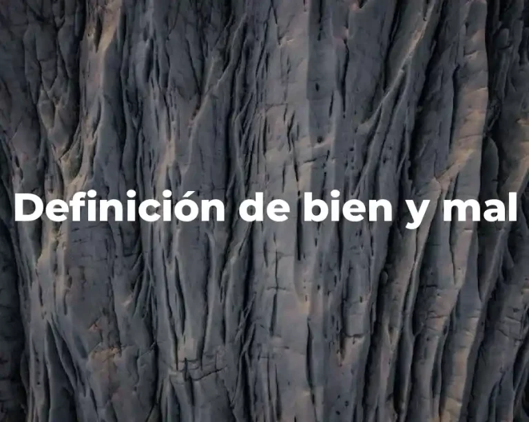 Definición de bien y mal