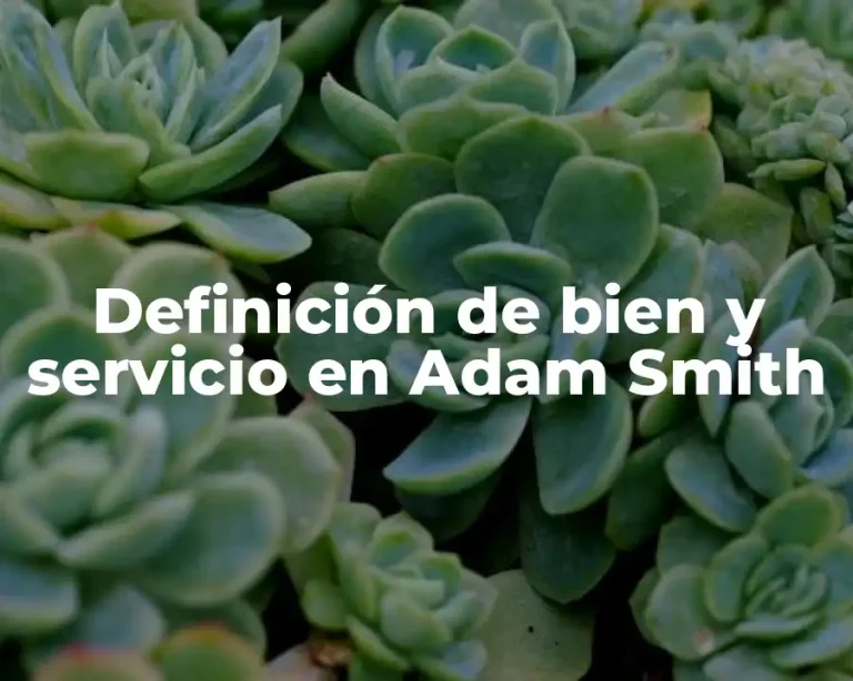 Definición de bien y servicio en Adam Smith