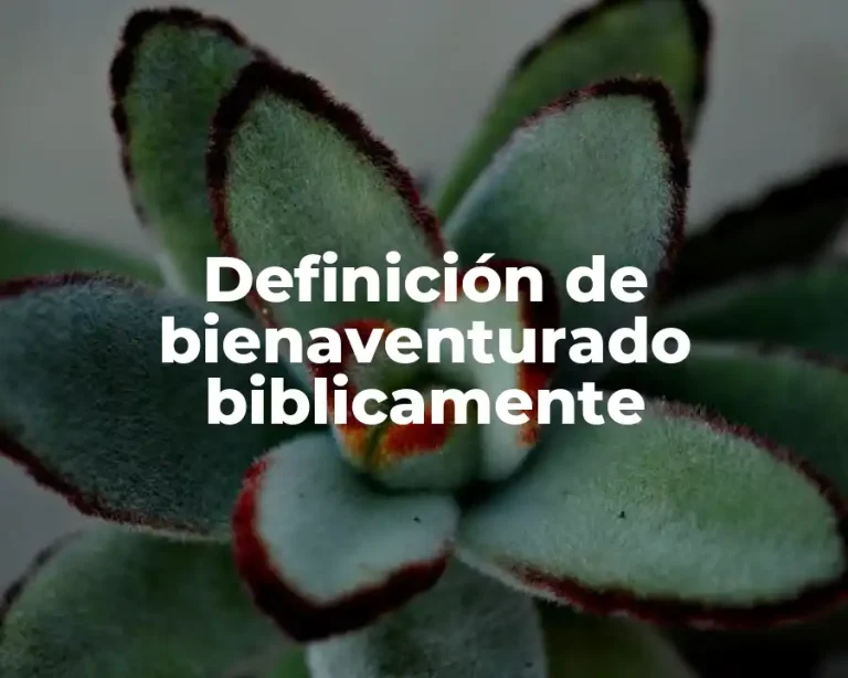 Definición de bienaventurado biblicamente