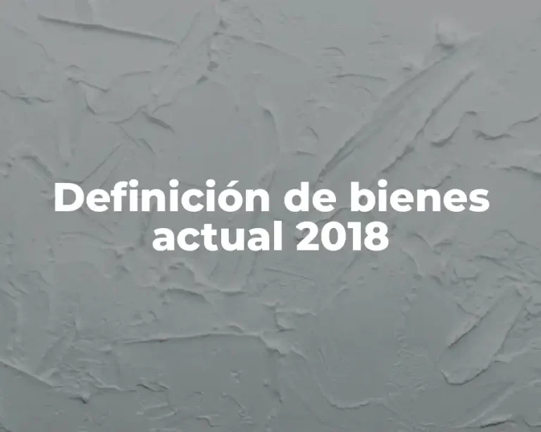 Definición de bienes actual 2018
