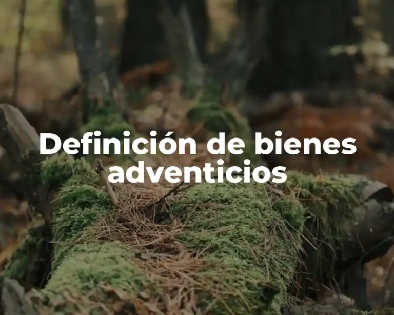 Definición de bienes adventicios