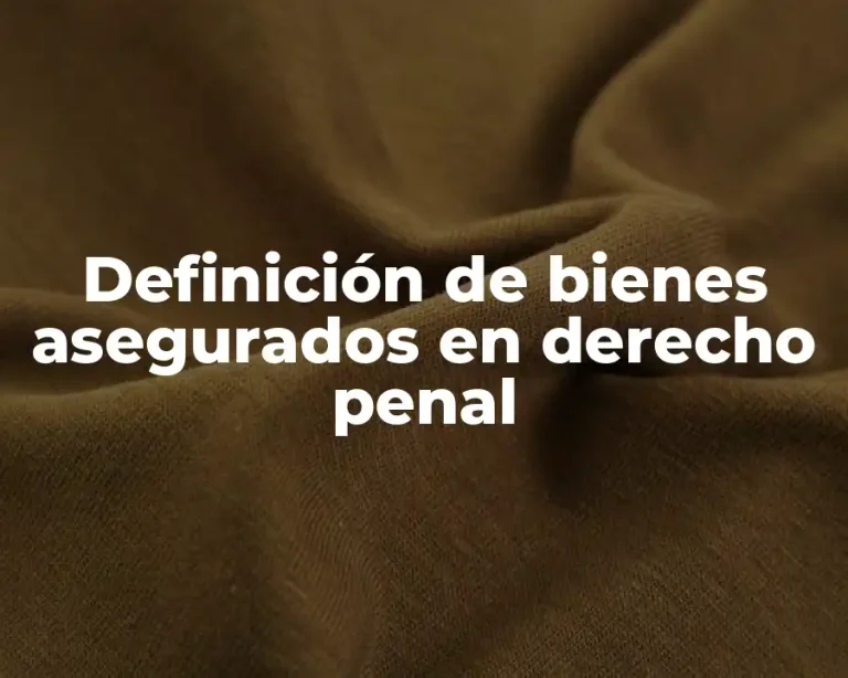 Definición de bienes asegurados en derecho penal