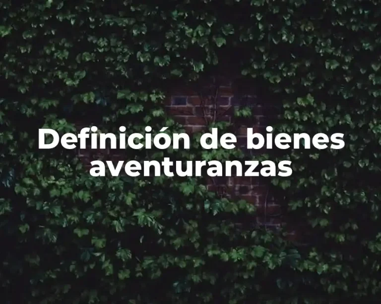 Definición de bienes aventuranzas