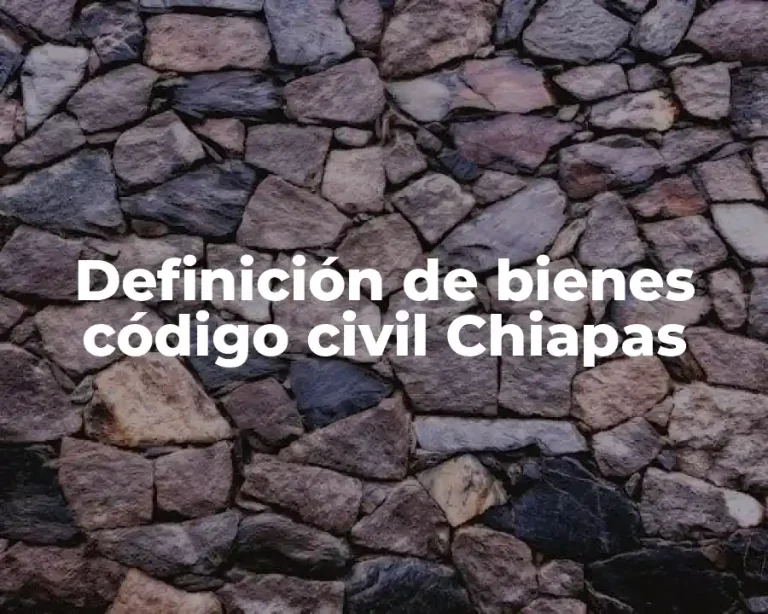 Definición de bienes código civil Chiapas
