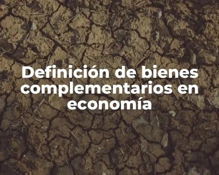 Definición de bienes complementarios en economía
