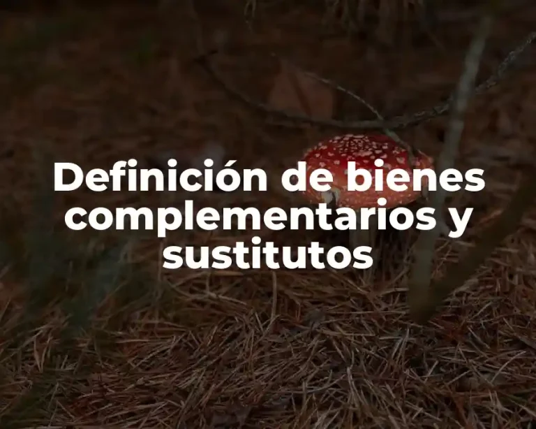 Definición de bienes complementarios y sustitutos