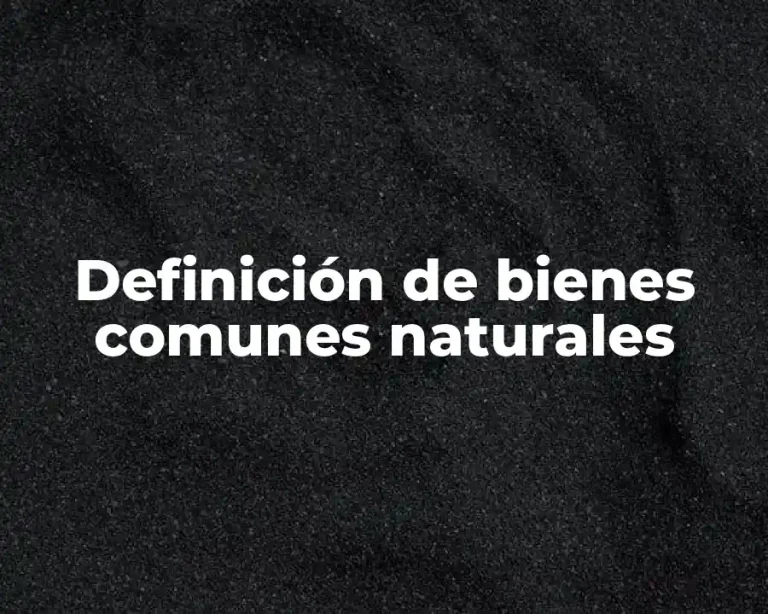 Definición de bienes comunes naturales