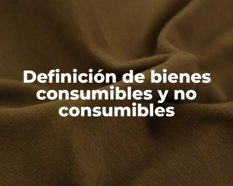 Definición de bienes consumibles y no consumibles