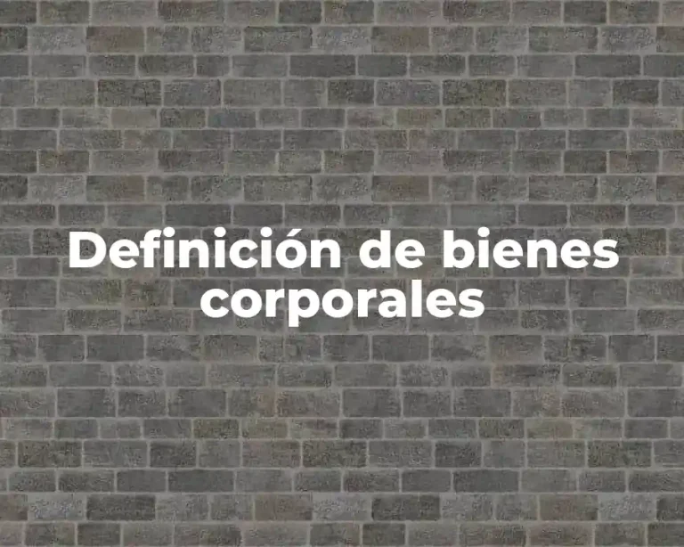 Definición de bienes corporales