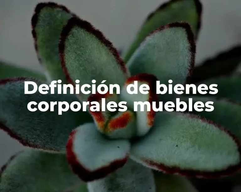 Definición de bienes corporales muebles