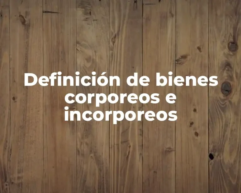 Definición de bienes corporeos e incorporeos