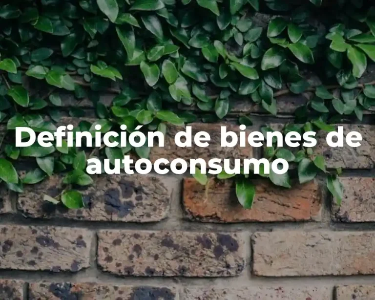 Definición de bienes de autoconsumo