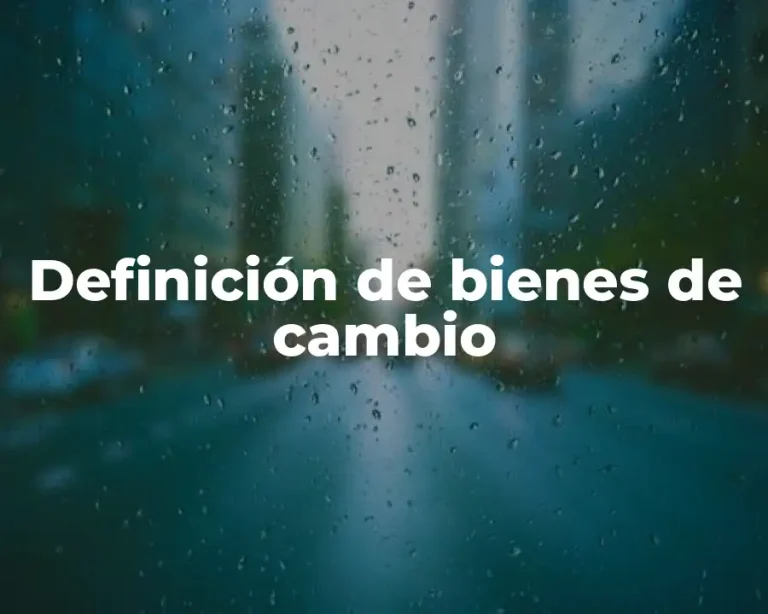 Definición de bienes de cambio