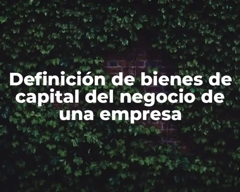 Definición de bienes de capital del negocio de una empresa
