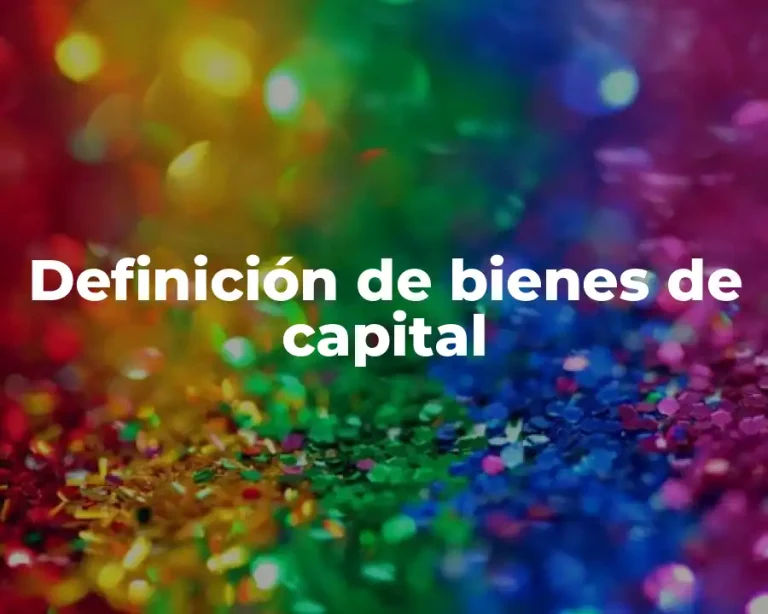 Definición de bienes de capital