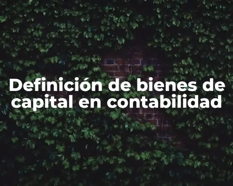 Definición de bienes de capital en contabilidad