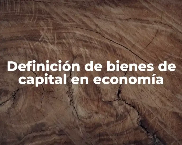 Definición de bienes de capital en economía