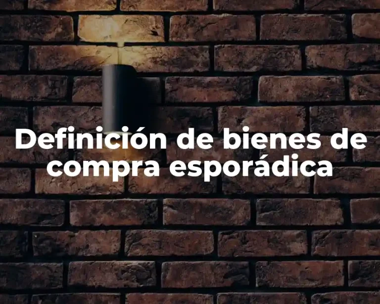 Definición de bienes de compra esporádica