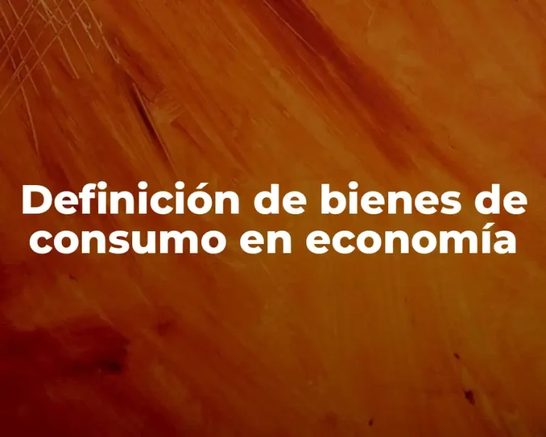 Definición de bienes de consumo en economía