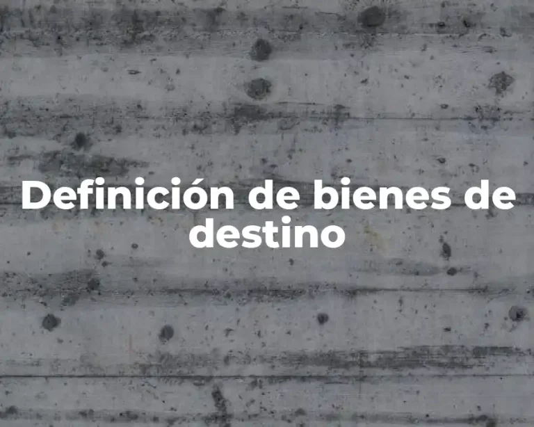 Definición de bienes de destino