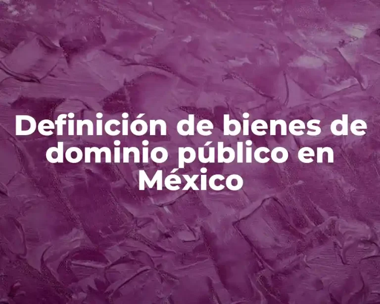 Definición de bienes de dominio público en México