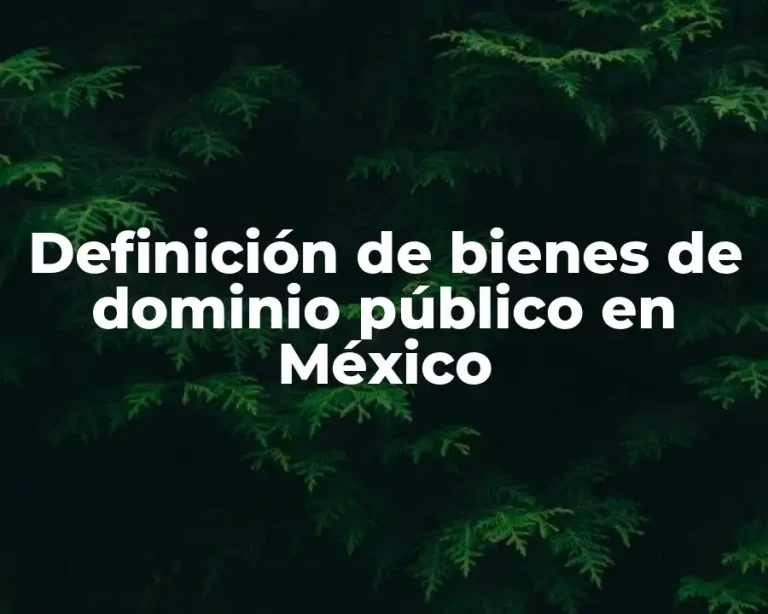 Definición de bienes de dominio público en México