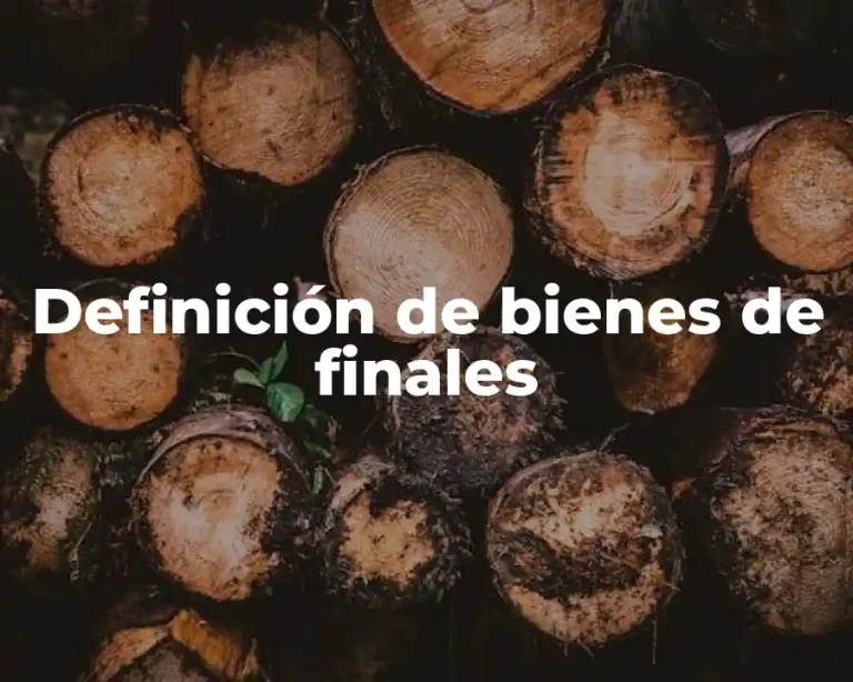Definición de bienes de finales