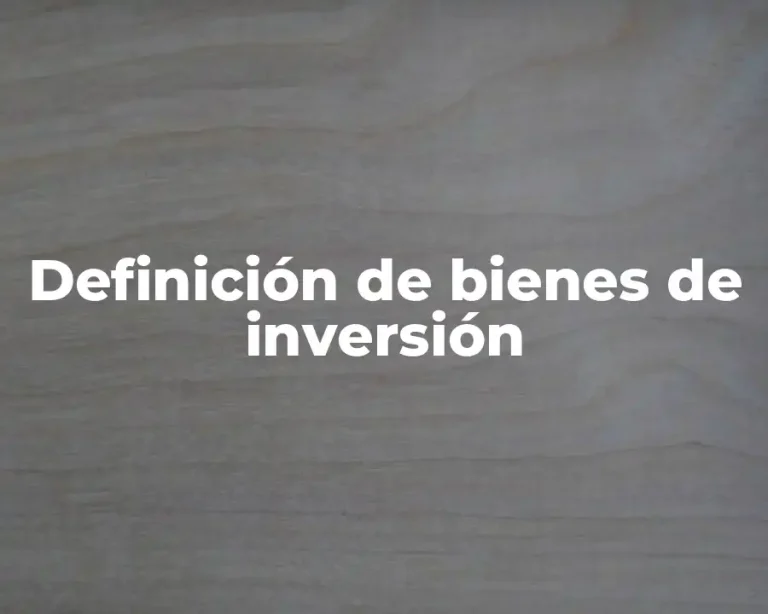 Definición de bienes de inversión