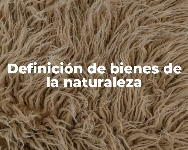 Definición de bienes de la naturaleza