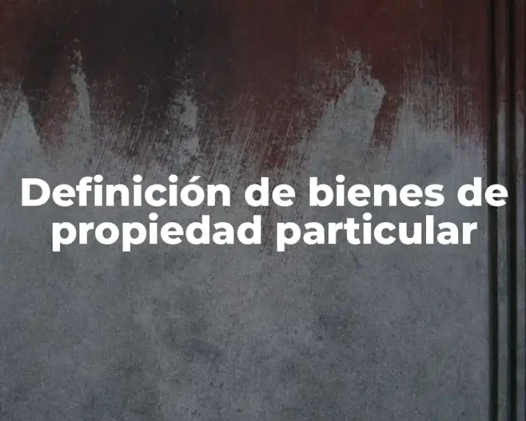 Definición de bienes de propiedad particular