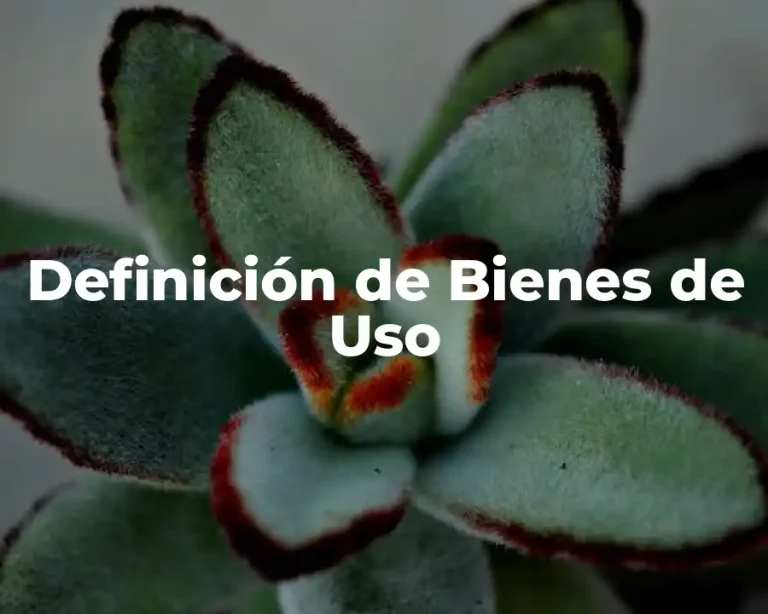 Definición de Bienes de Uso