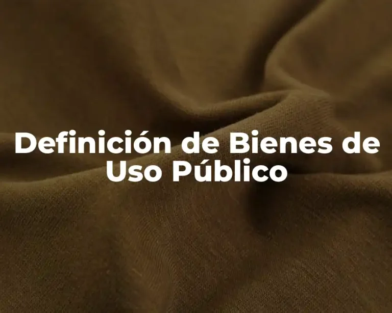 Definición de Bienes de Uso Público