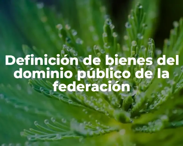Definición de bienes del dominio público de la federación