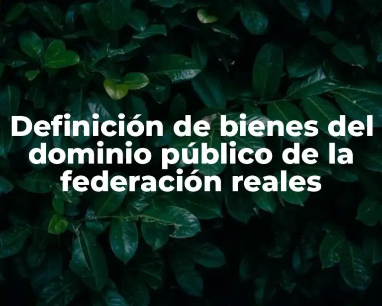 Definición de bienes del dominio público de la federación reales