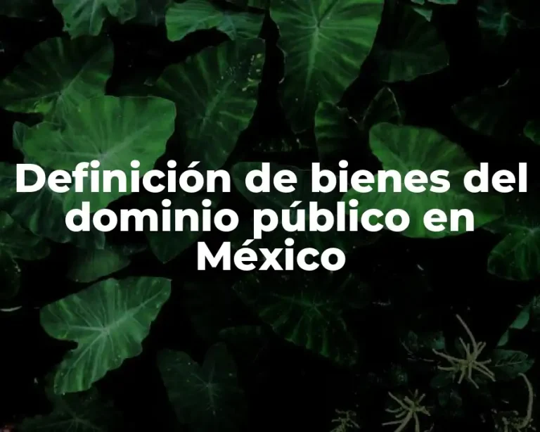 Definición de bienes del dominio público en México