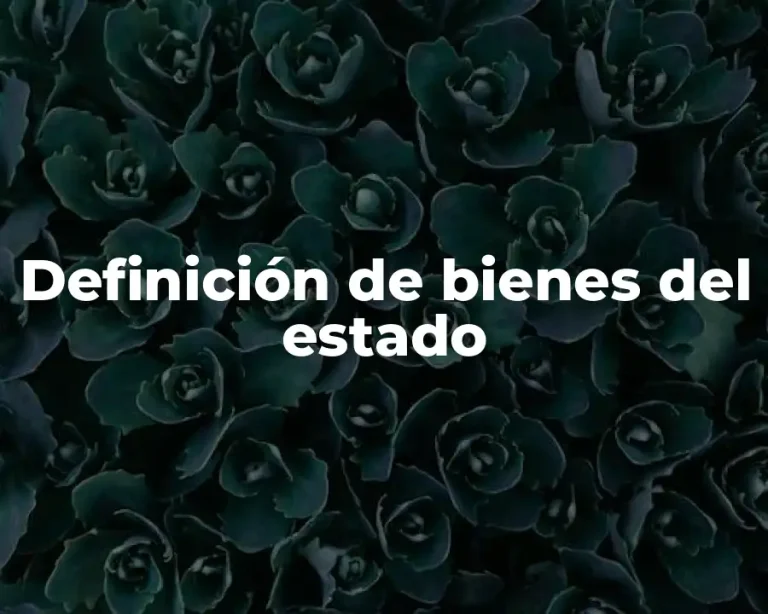 Definición de bienes del estado