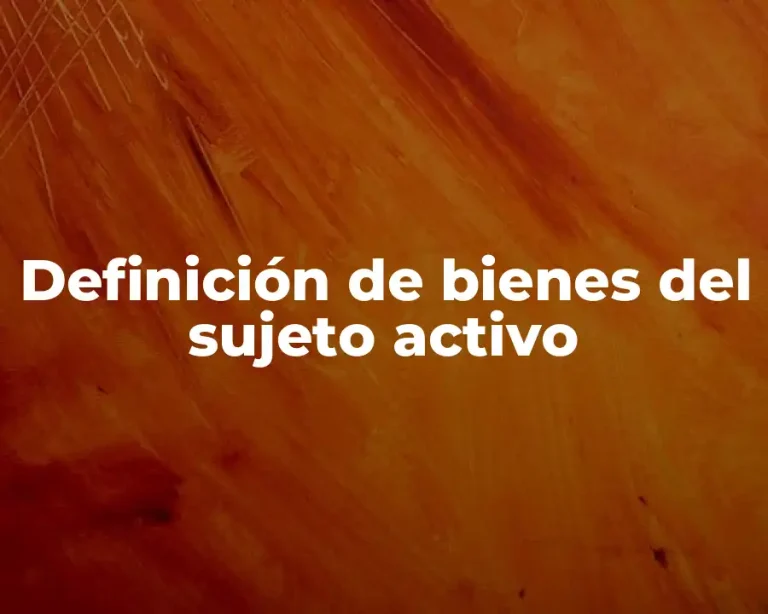 Definición de bienes del sujeto activo