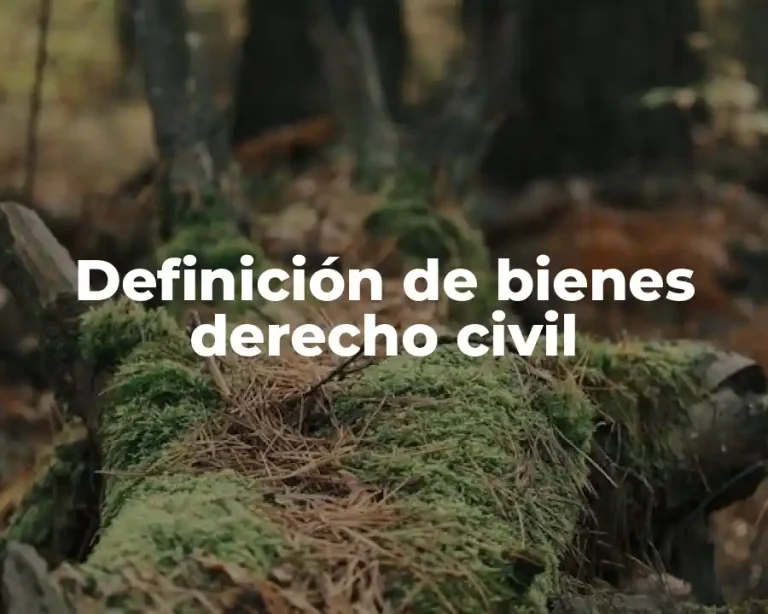 Definición de bienes derecho civil