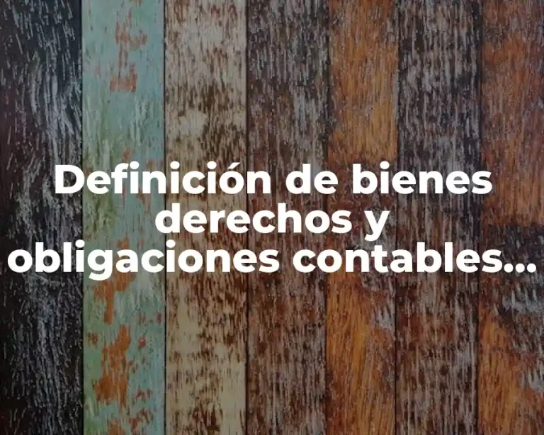 Definición de bienes derechos y obligaciones contables personales