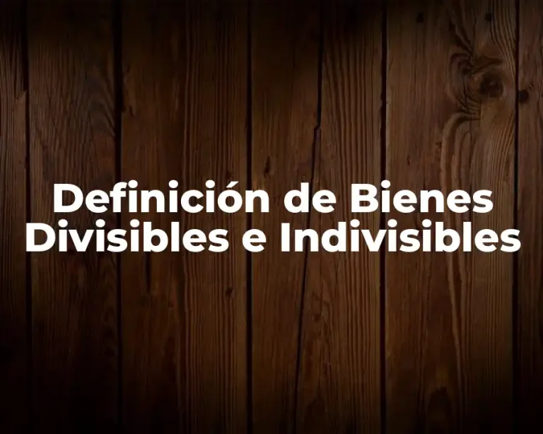 Definición de Bienes Divisibles e Indivisibles