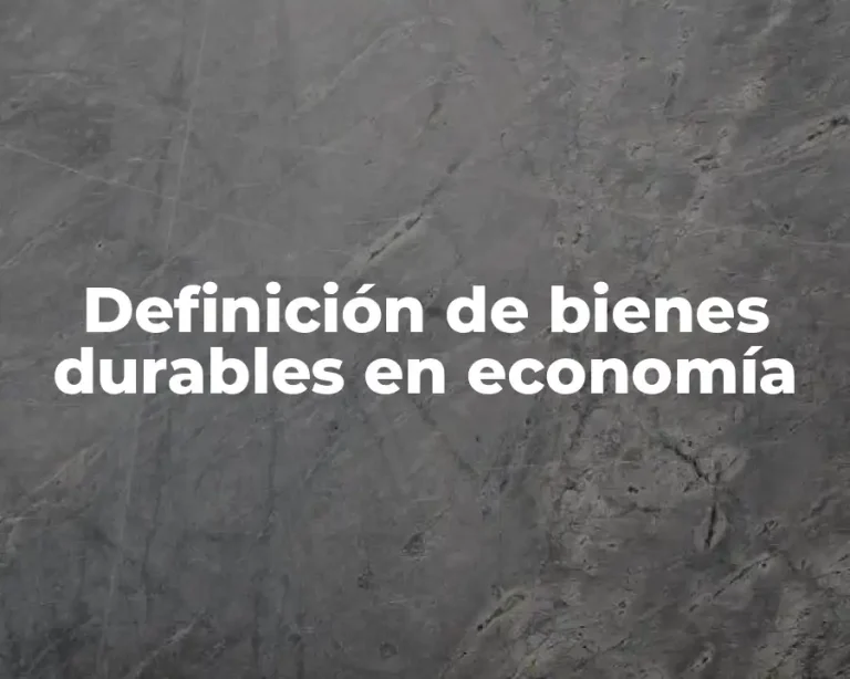 Definición de bienes durables en economía