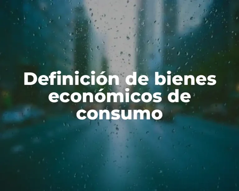 Definición de bienes económicos de consumo