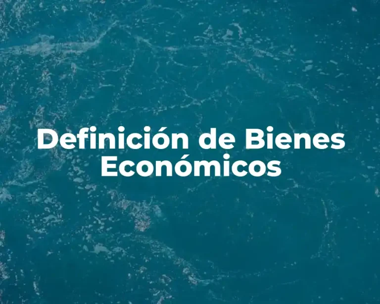 Definición de Bienes Económicos