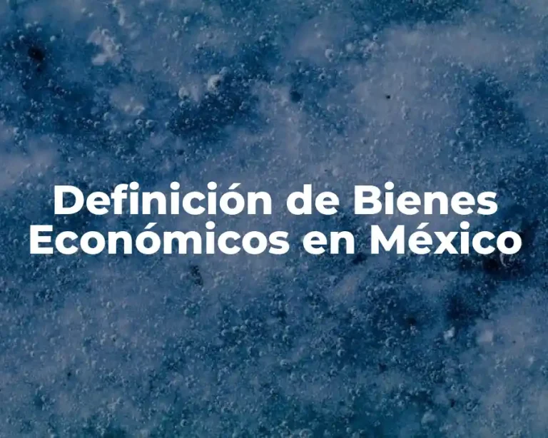 Definición de Bienes Económicos en México