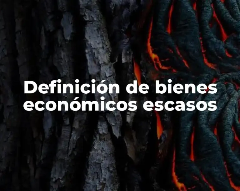 Definición de bienes económicos escasos