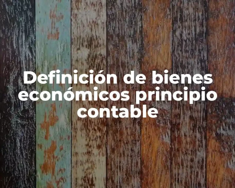 Definición de bienes económicos principio contable