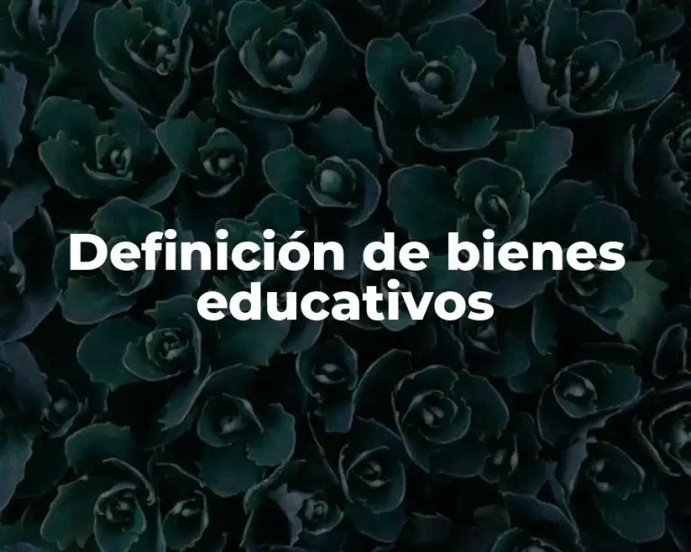 Definición de bienes educativos