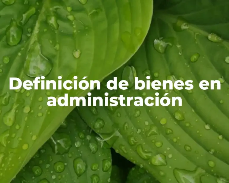 Definición de bienes en administración